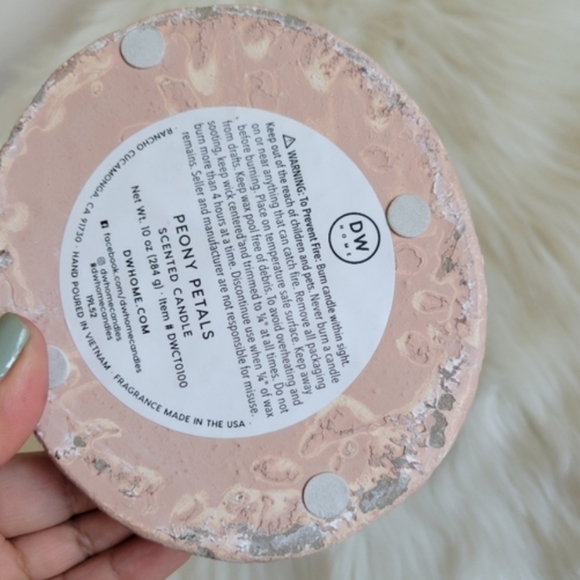 DW Home Rabbit Pot - Picture 5 of 8